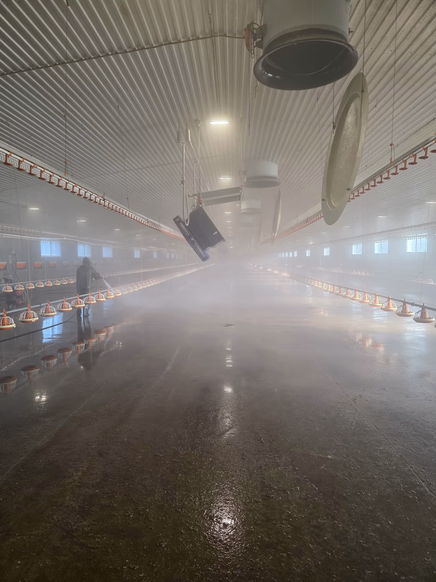 Zamgławianie kurnika metodą ULV